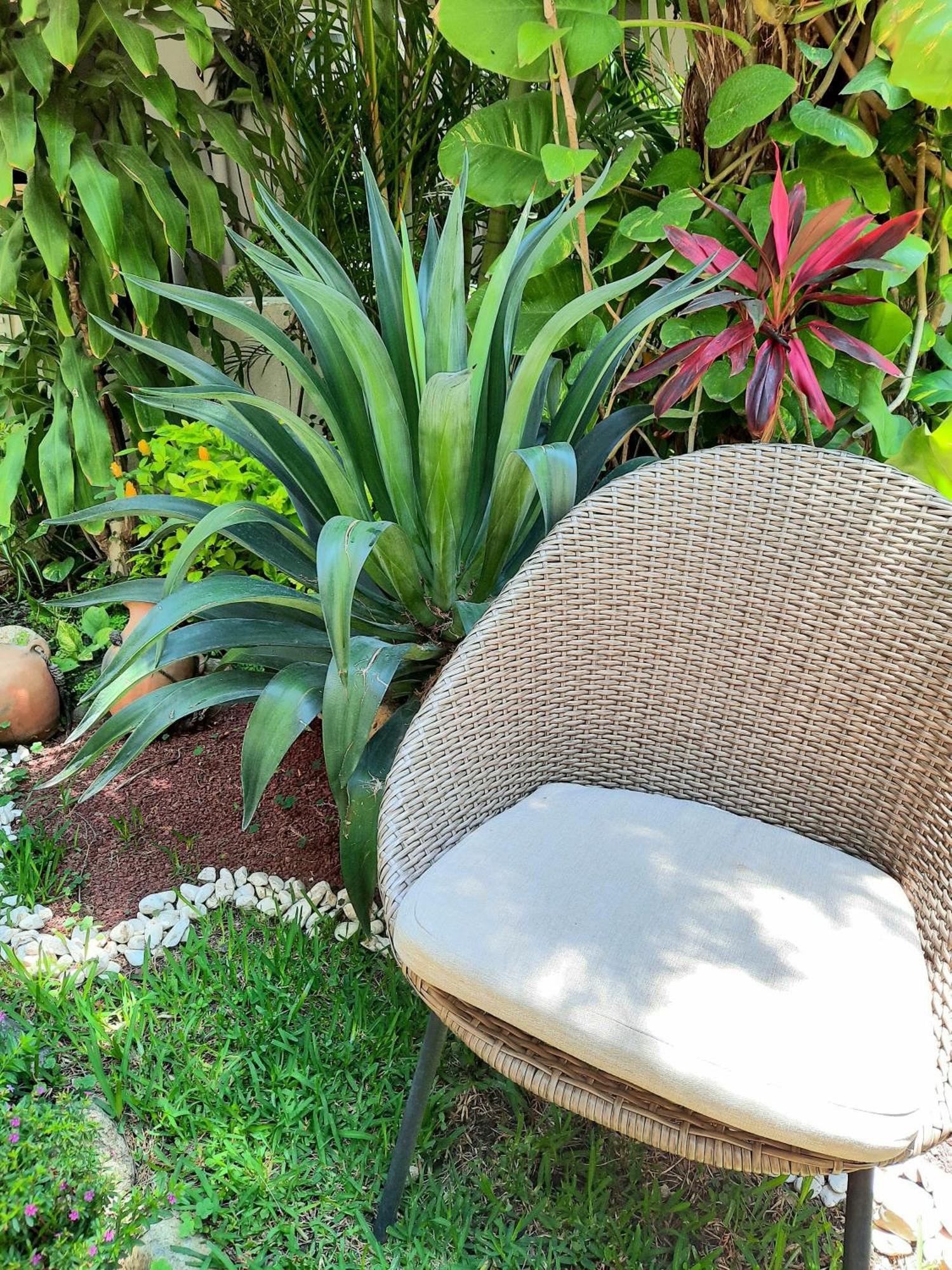 Casa Los Cantaros Hotel Boutique Oaxaca Extérieur photo